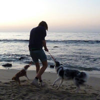 Beachplaytimeinthesunset Beachplaytimeinthesunset